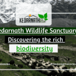 Kedarnath Wildlife Sanctuary