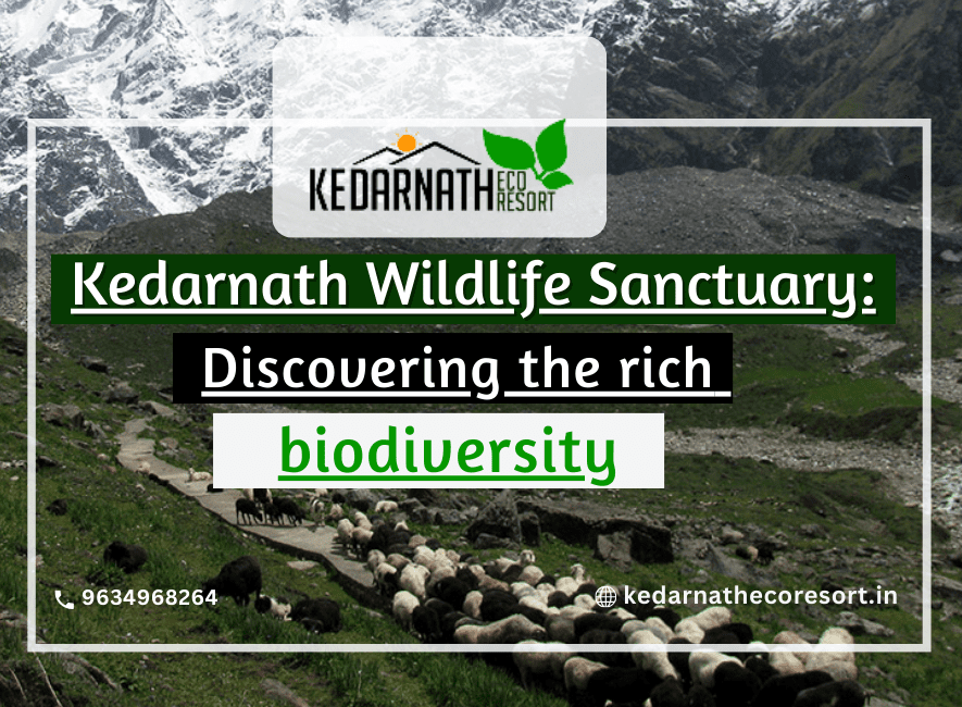 Kedarnath Wildlife Sanctuary